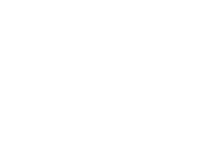 Regency Parking Solutions logo